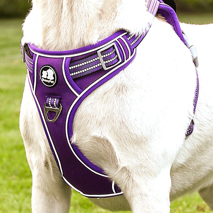 No-Pull Adjustable Pet Harness