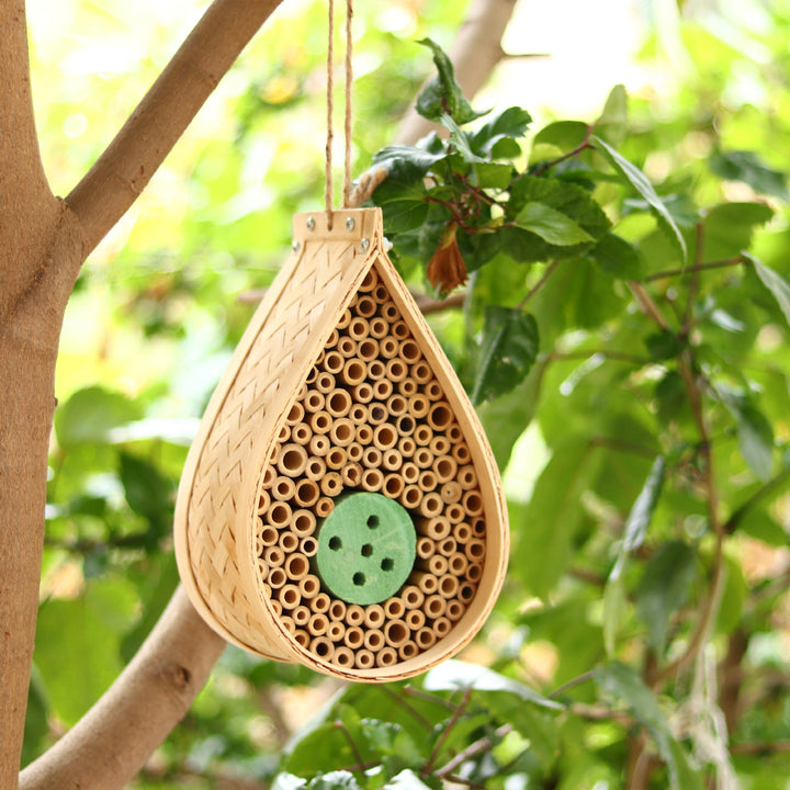 Eco-Friendly Insect Habitat Bowlift