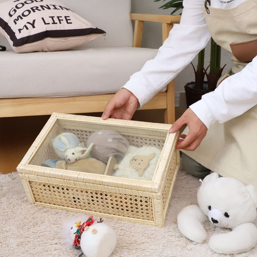 Versatile Storage Box In Modern Design Bowlift