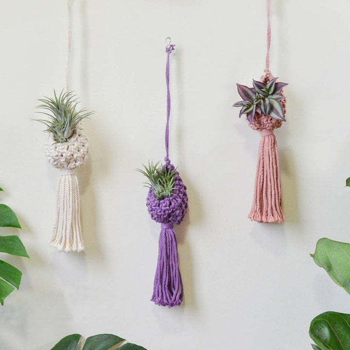 Macrame Hanging Plant Holder with Decorative Tassel Bowlift