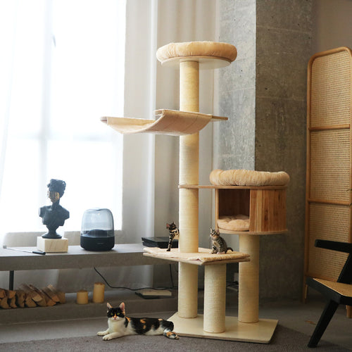 Cozy cat tree with multiple levels Bowlift