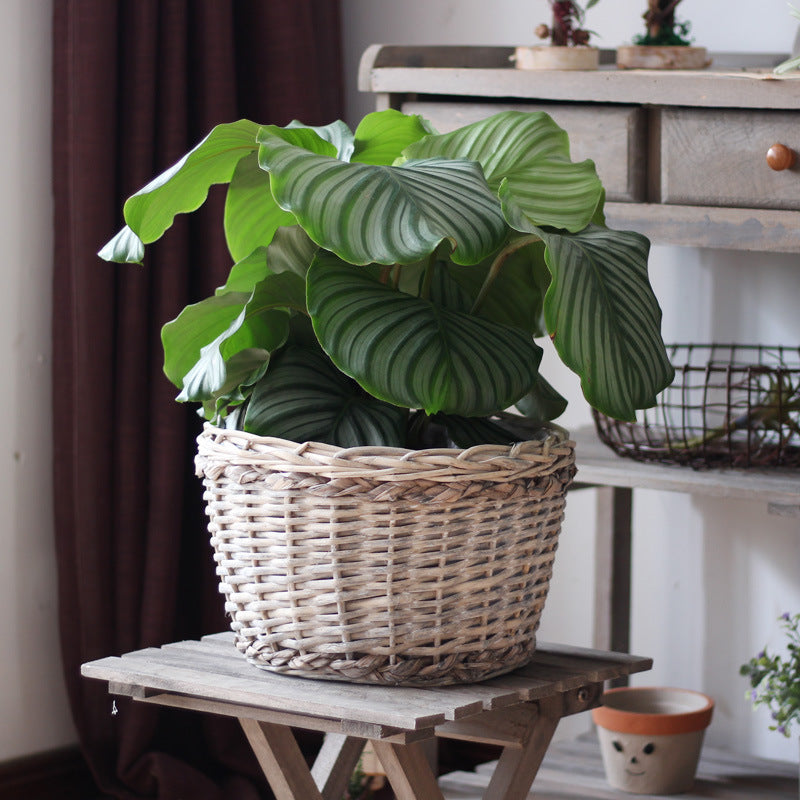 Rustic storage basket made of natural material Bowlift