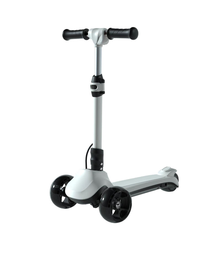 Adjustable Height  Scooter Bowlift