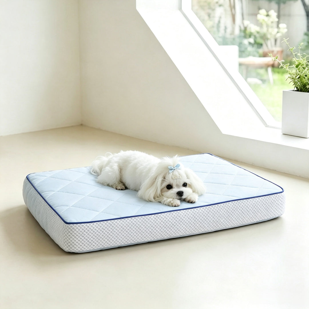 Quilted Comfort Orthopedic dog Mattress