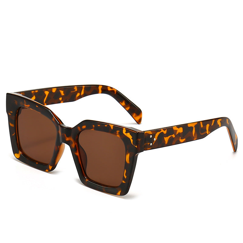 Women's Fashion Sunglasses in Striking Turtle Design Bowlift