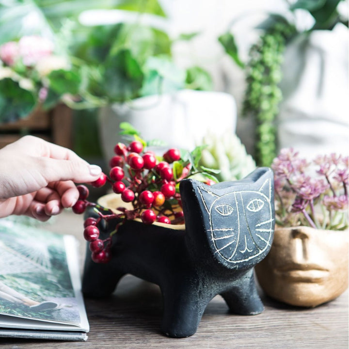Decorative Plant Bowl Bowlift