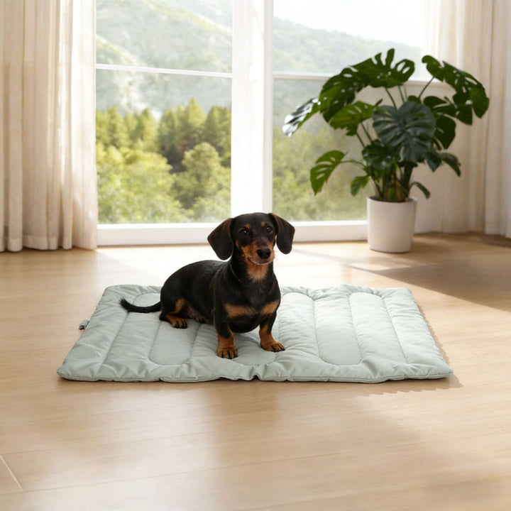 Premium Quilted dog Sleeping Mat