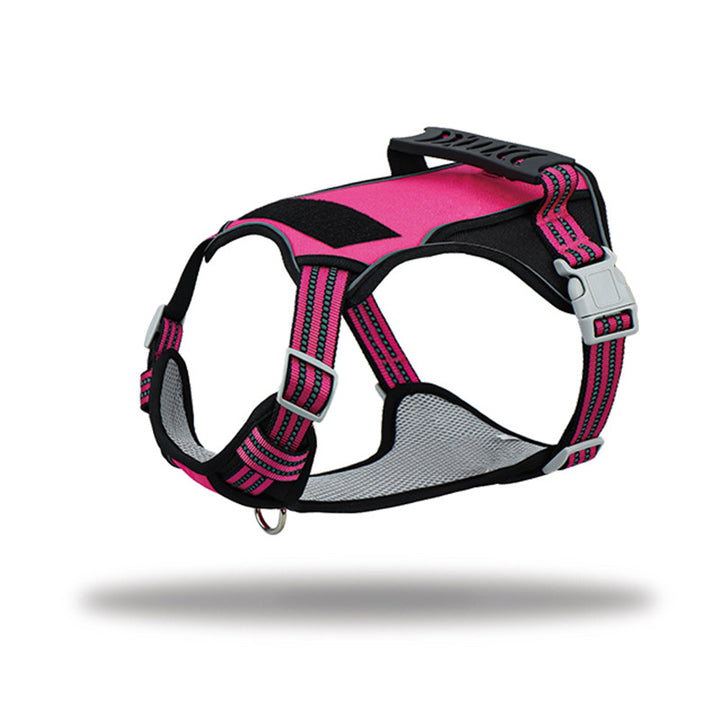 Dog Harness