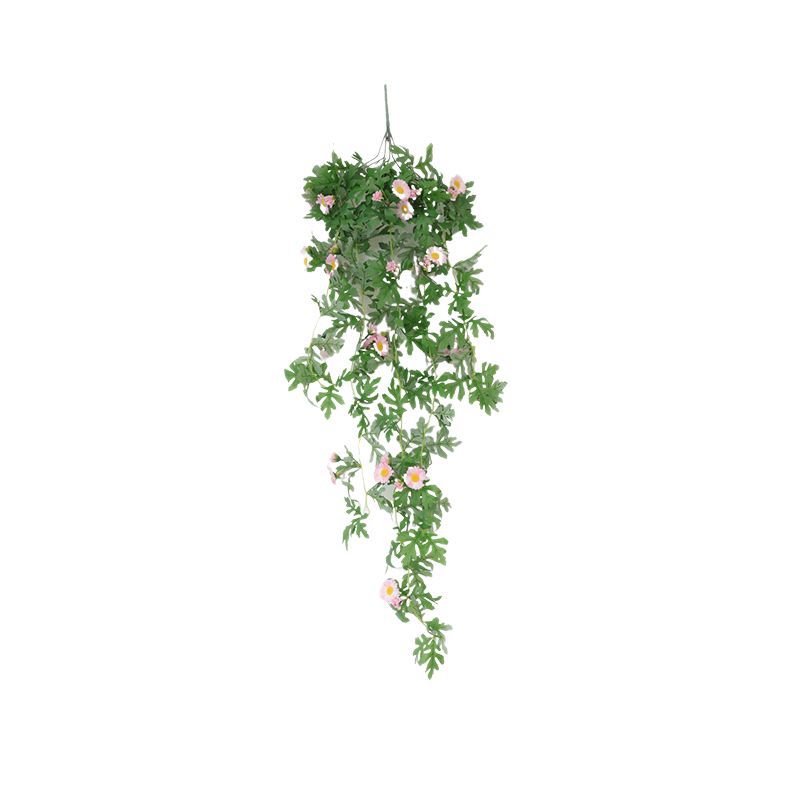Hanging Decorative Plant Bowlift