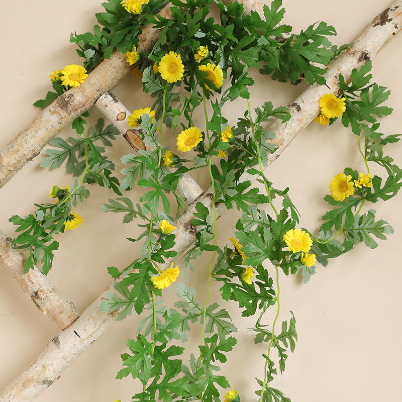 Hanging Decorative Plant Bowlift