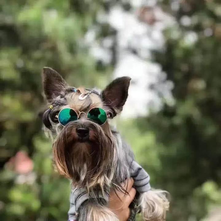 Pet Formal Button-Up Shirt with Satin Bow Tie and Cuff Sleeves Bowlift