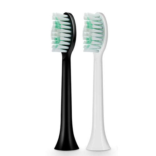 Replacement Toothbrush Head Bowlift