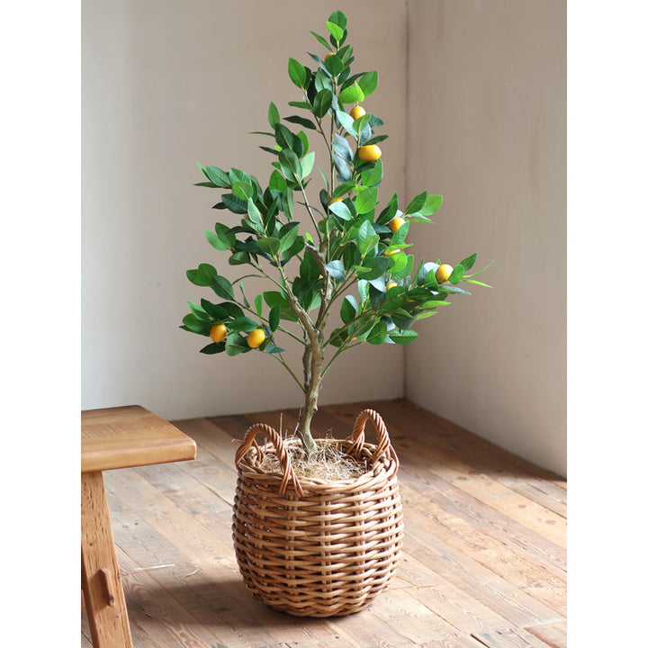 Handwoven basket with practical handles Bowlift