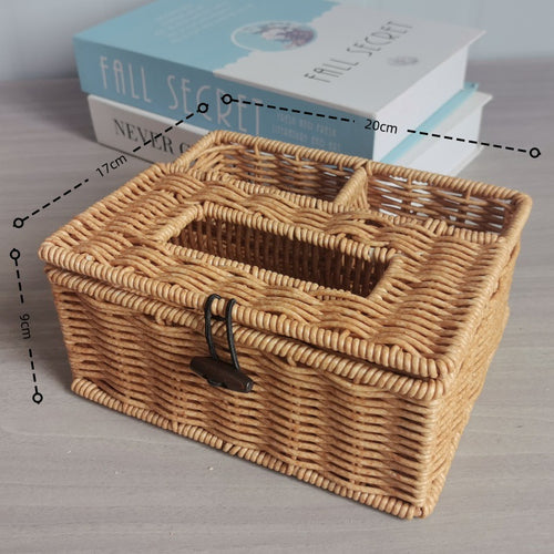 Multi-Compartment Woven Storage Organizer Bowlift