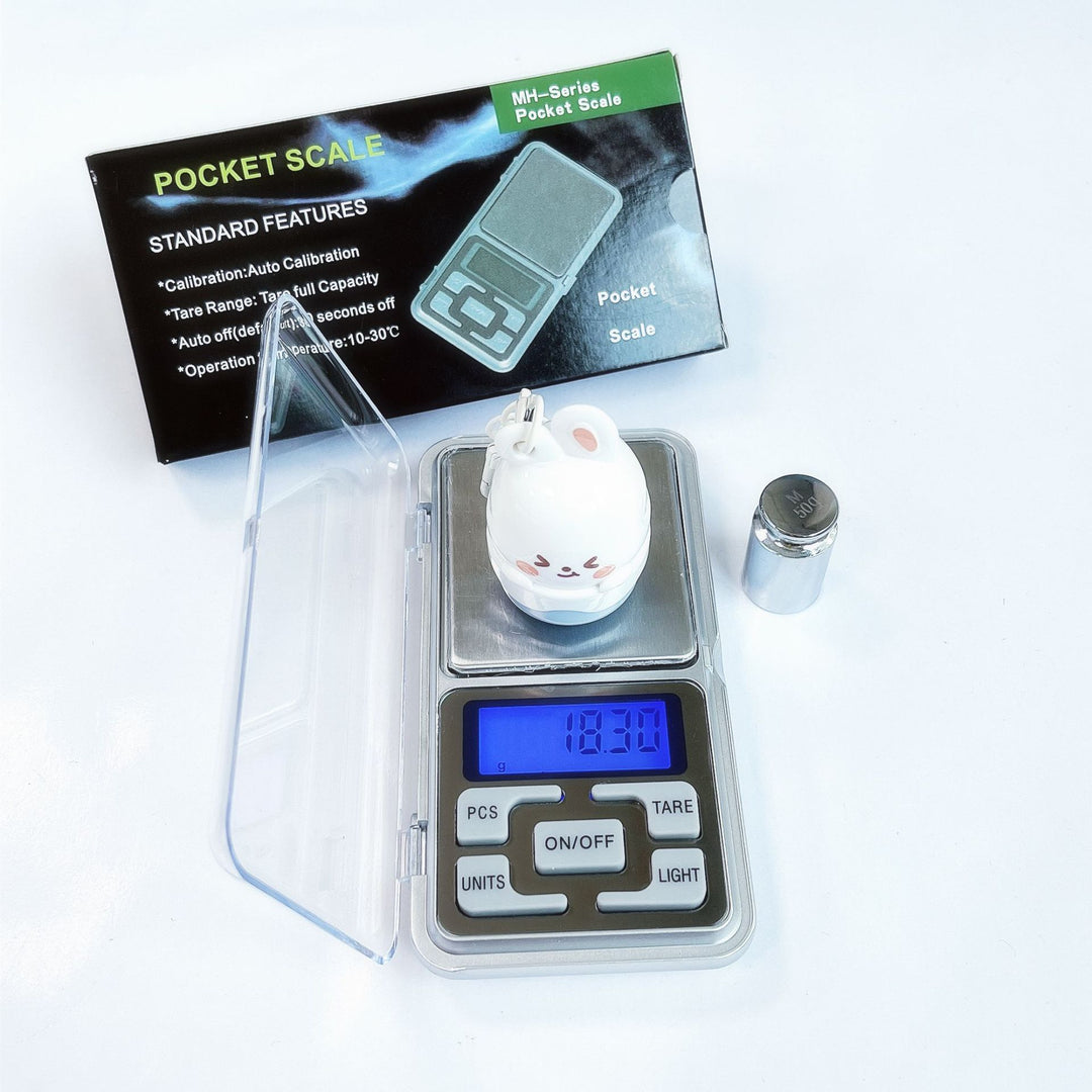Digital Pocket Weighing Scale