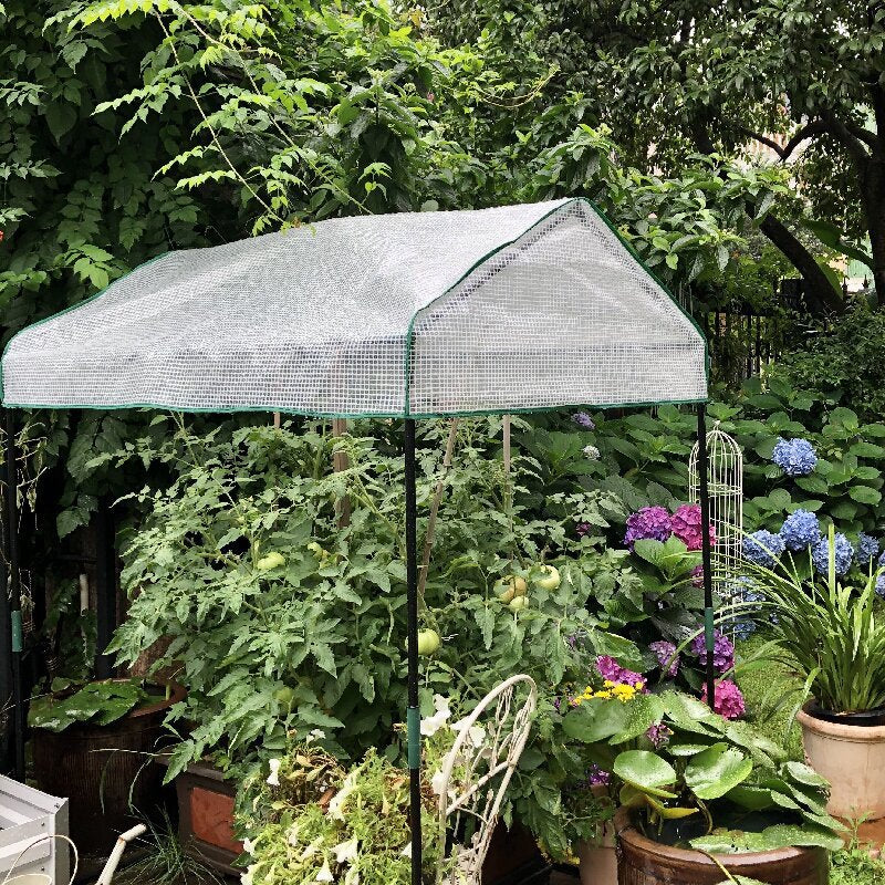 Garden Greenhouse