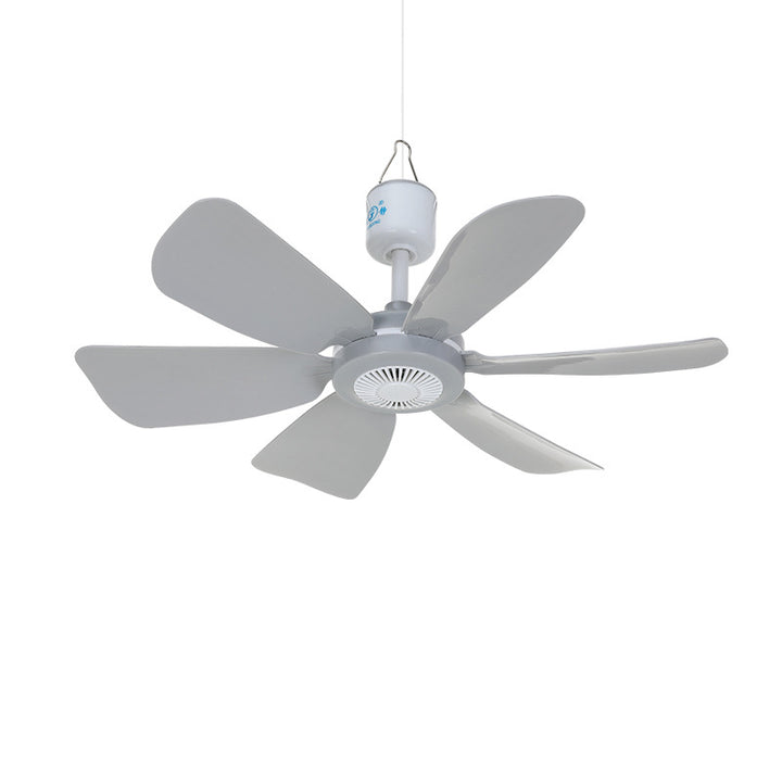 Ladies ceiling fan with modern, energy-efficient design Bowlift