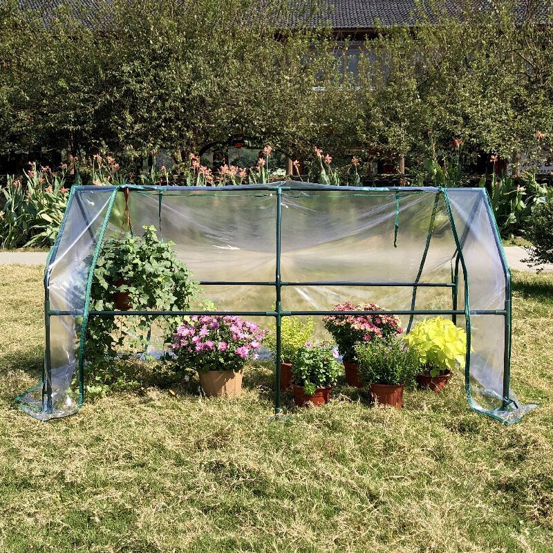 Greenhouse