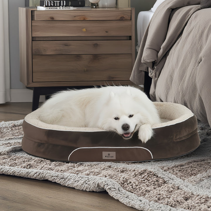 Soft Orthopedic dog Lounge