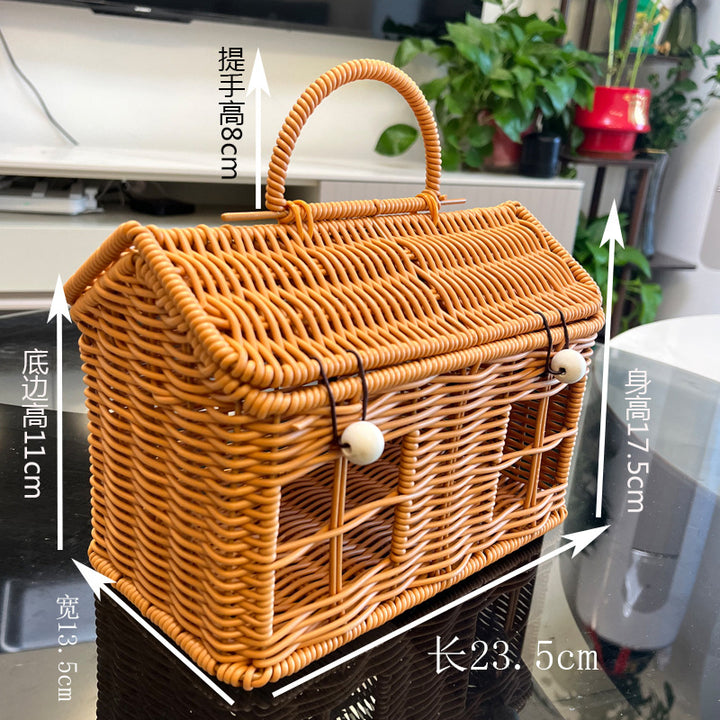 Ladies Decorative Storage Basket in House Design Bowlift