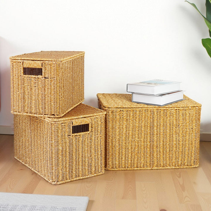 Ladies Generous Storage Basket with Lid Bowlift