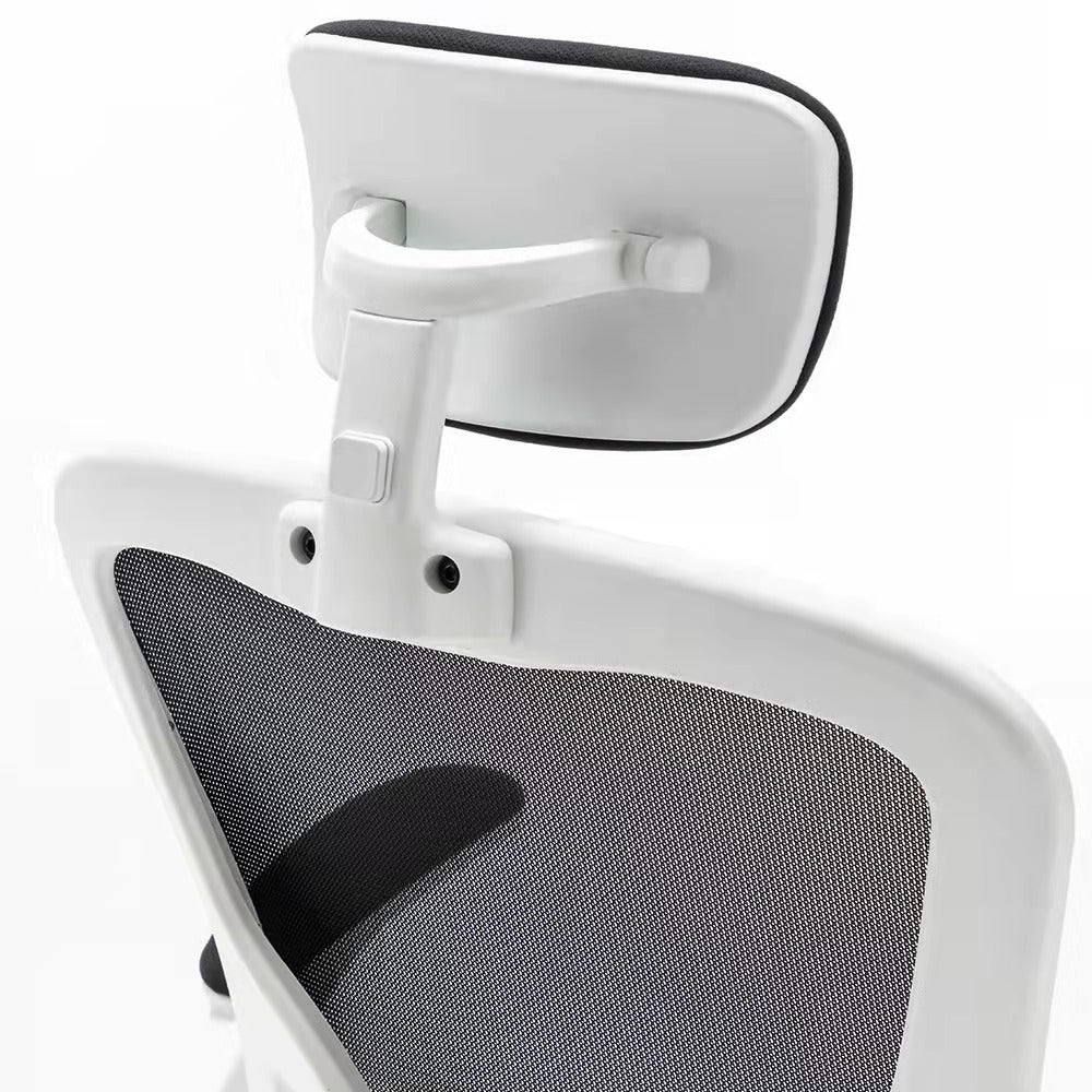 Ergonomic Office Chair Bowlift