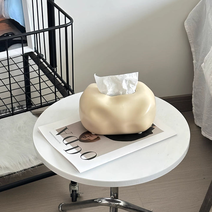 Artistic Tissue Box Holder