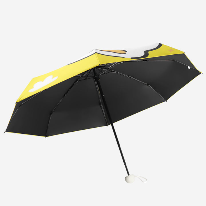 Women's compact and wind-resistant folding umbrella with practical carrying case Bowlift