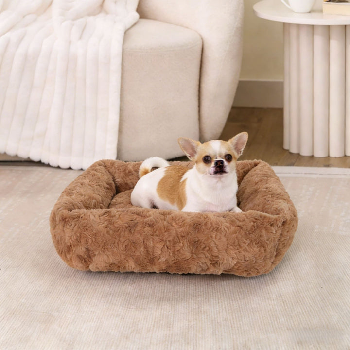 Plush Supportive dog Lounge