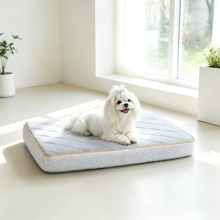 Orthopedic Supportive dog Mattress