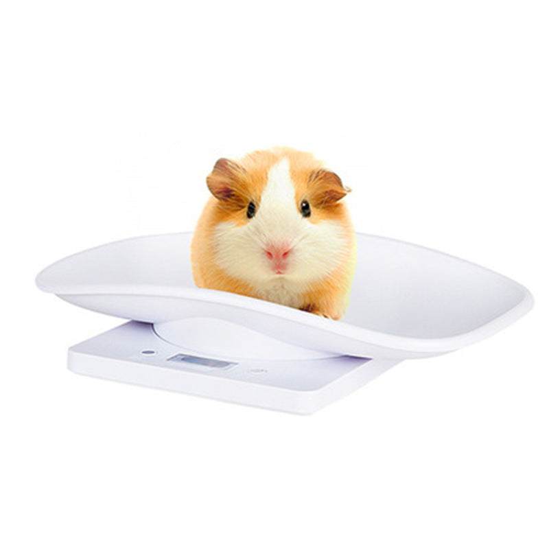 Elegant Kitchen Weighing Scale