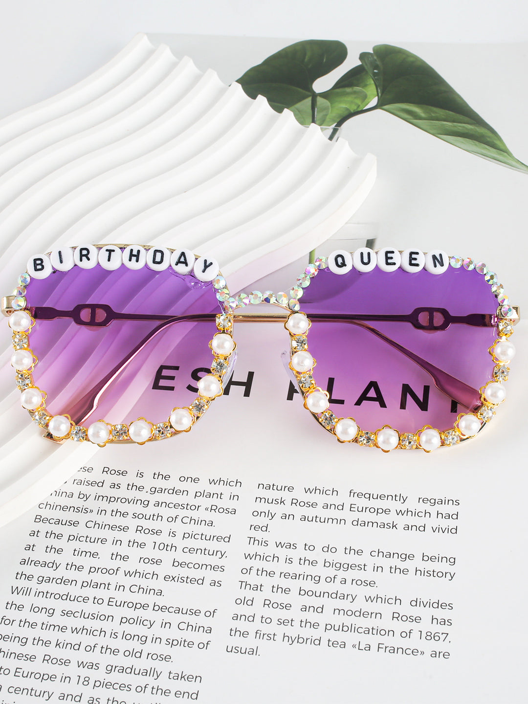 Fashion Sunglasses Bowlift