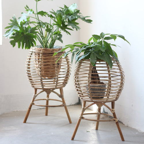 Beef Basket Chair Bowlift