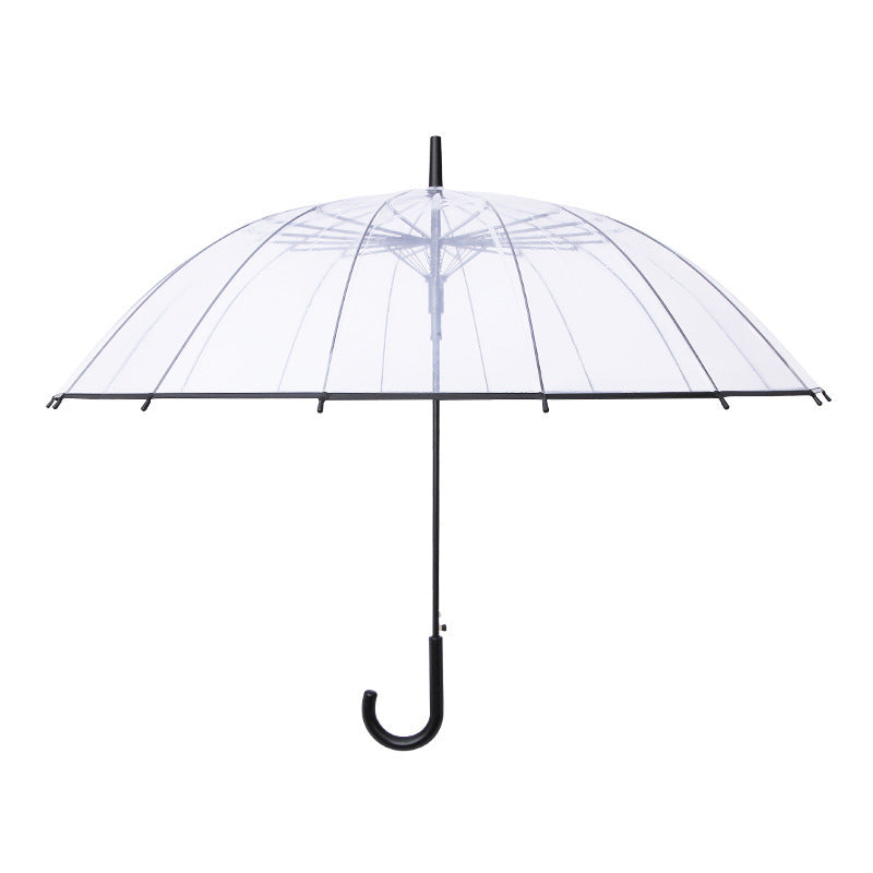 Women Transparent Design Folding Umbrella Bowlift