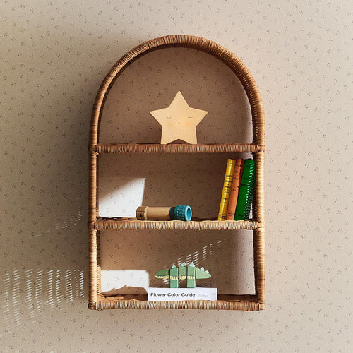 Woven Shelf Organizer Bowlift