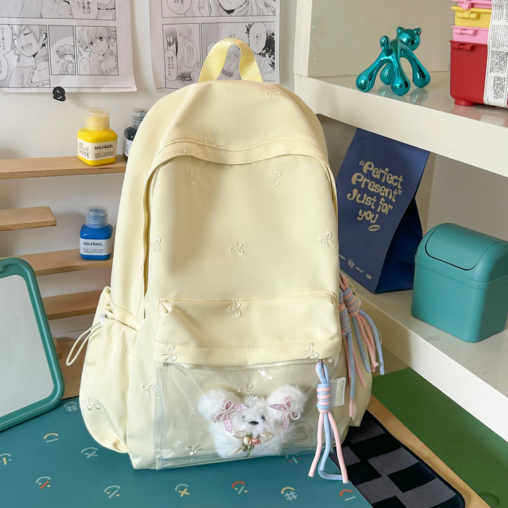 Functional Transparent Backpack