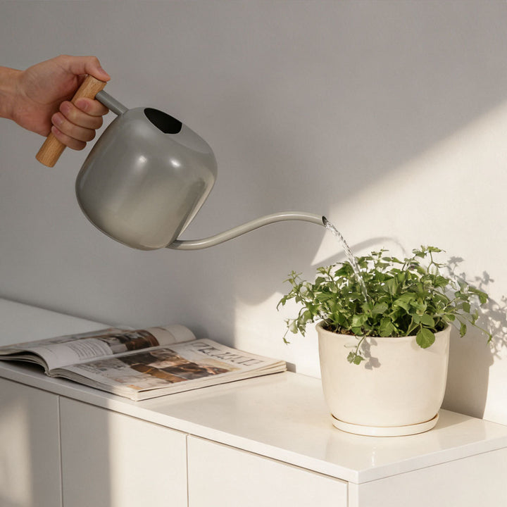 Stylish Watering Can