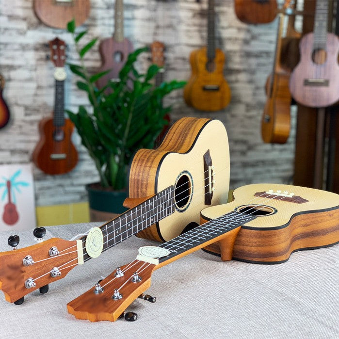 Acoustic Ukulele Bowlift