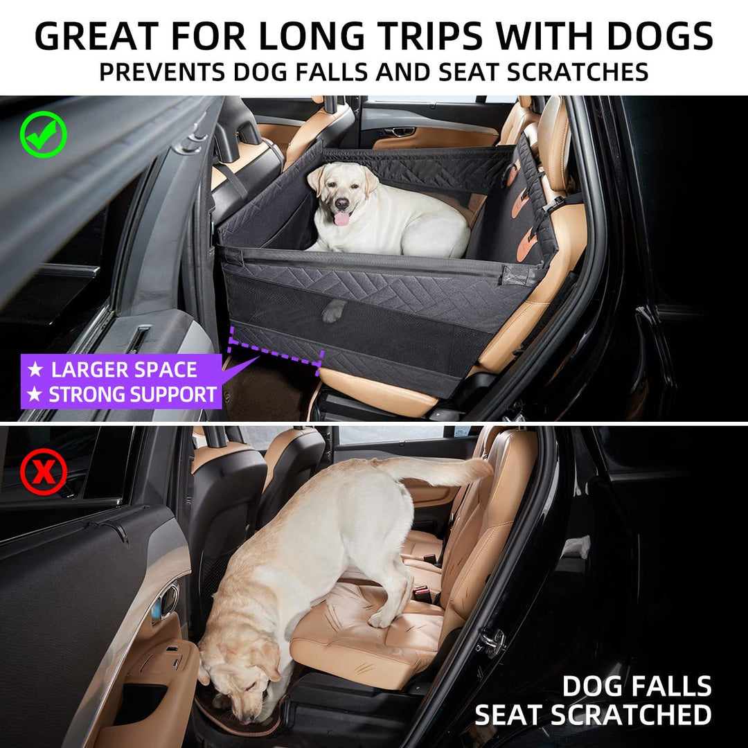 Pet Travel Safety