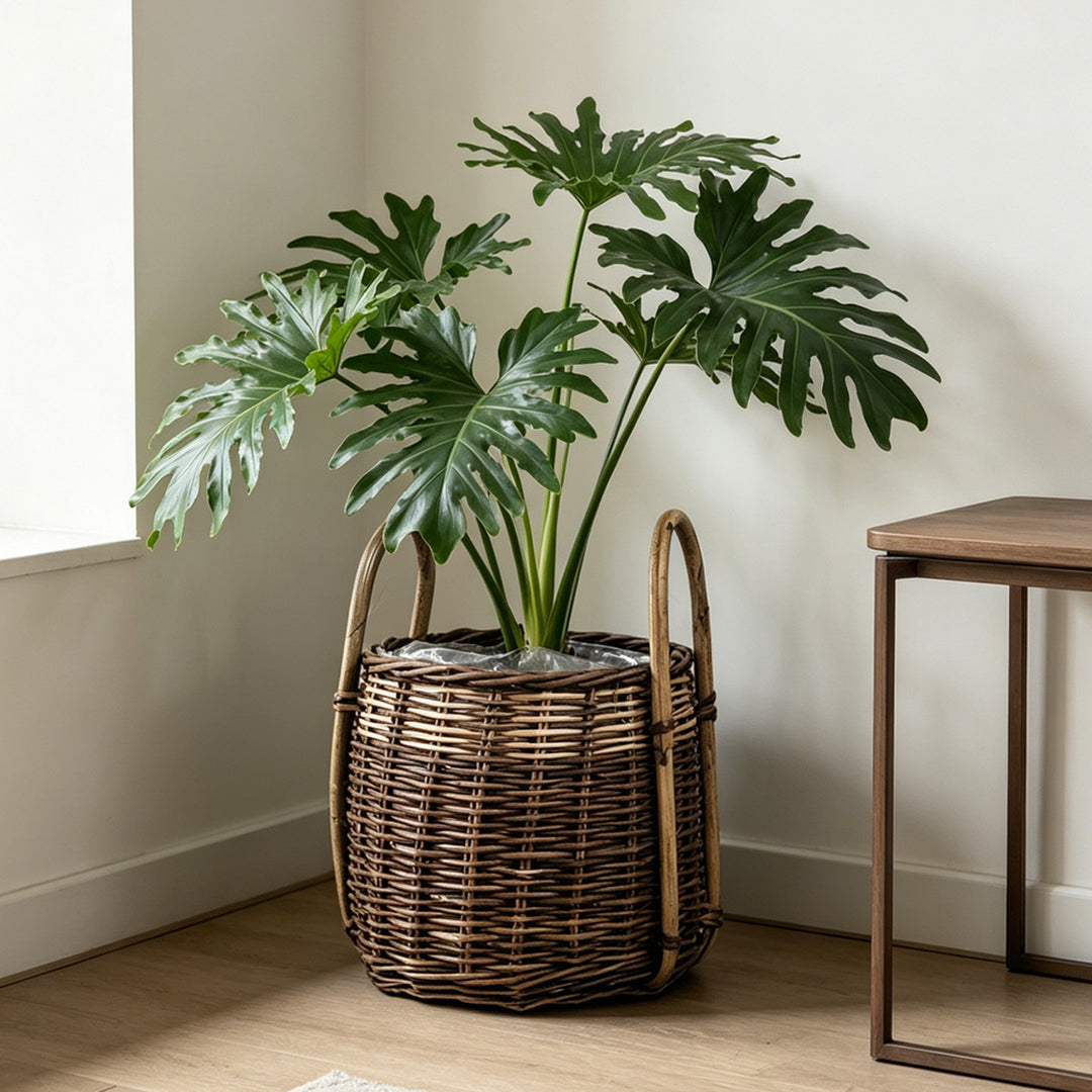 Natural woven storage basket Bowlift