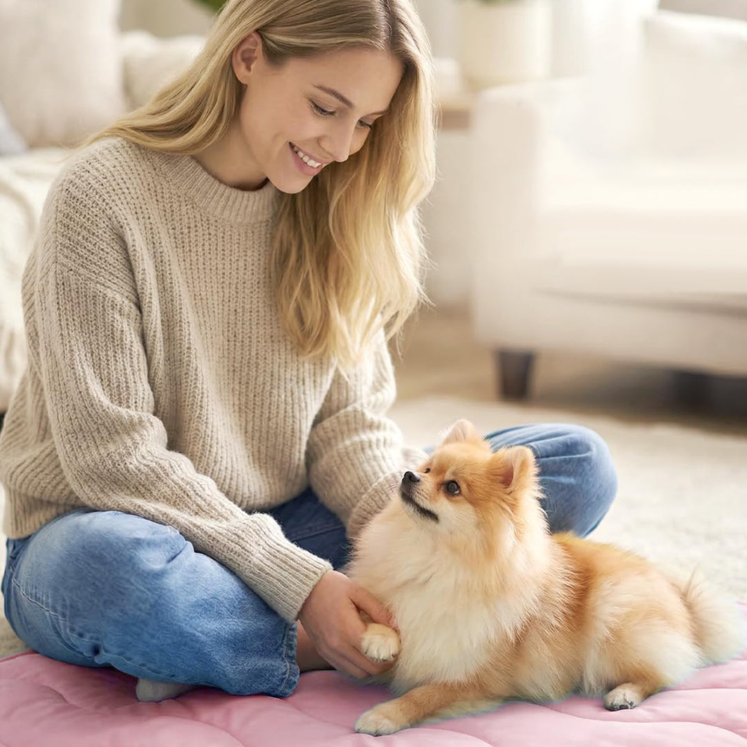 Ladies orthopedic dog bed Bowlift
