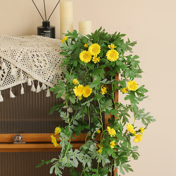 Hanging Decorative Plant Bowlift