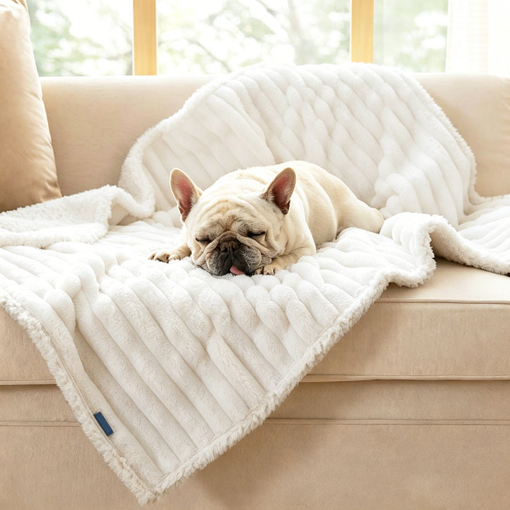 Plush dog Throw Blanket