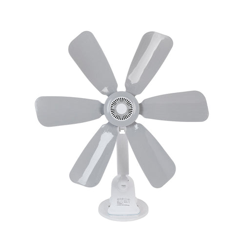Women's Stand Fan Bowlift