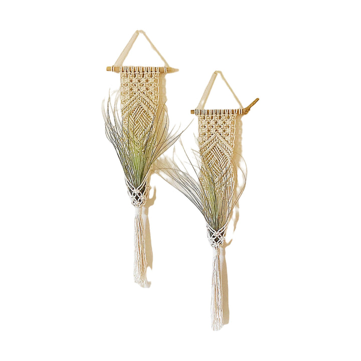 Macrame Wall Hanging Plant Holder Bowlift