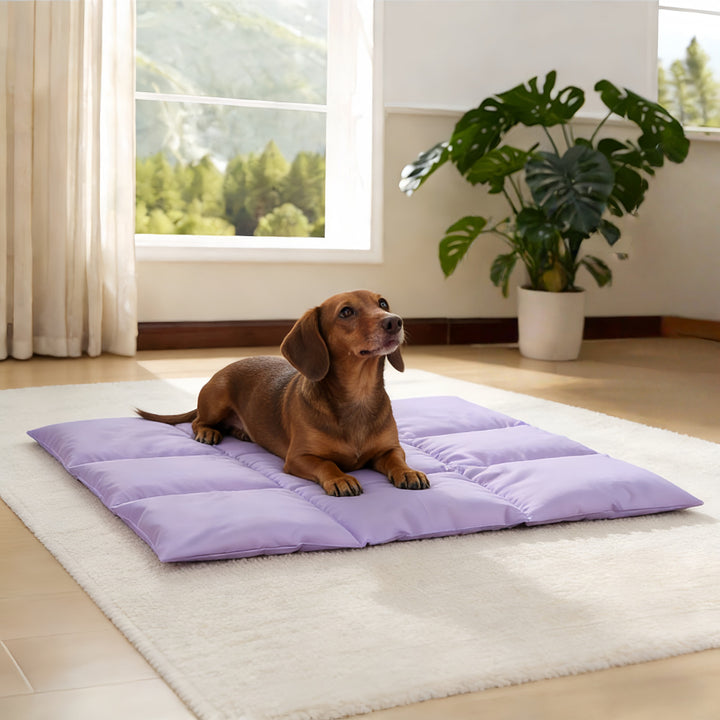 Premium Quilted dog Sleeping Mat