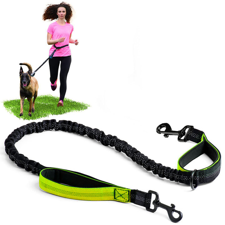 Bungee Dog Running Leash