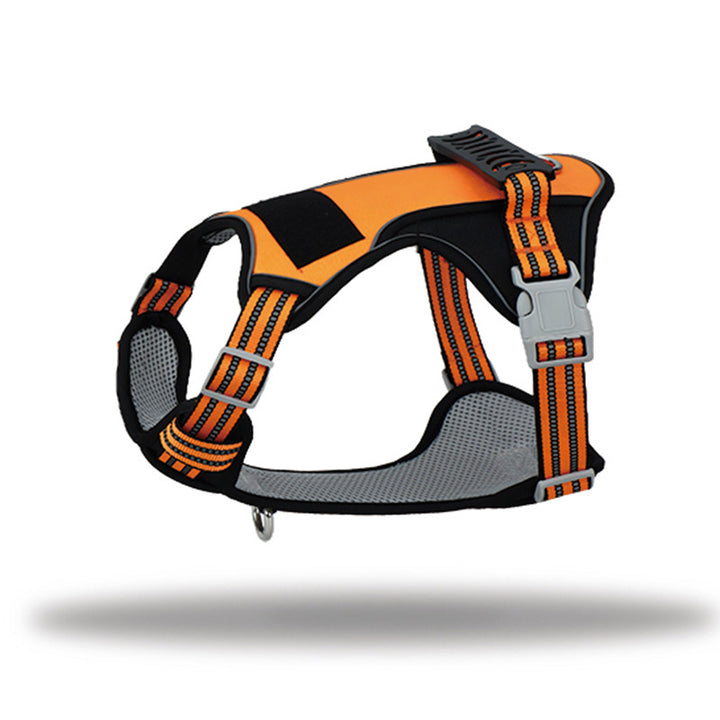Dog Harness