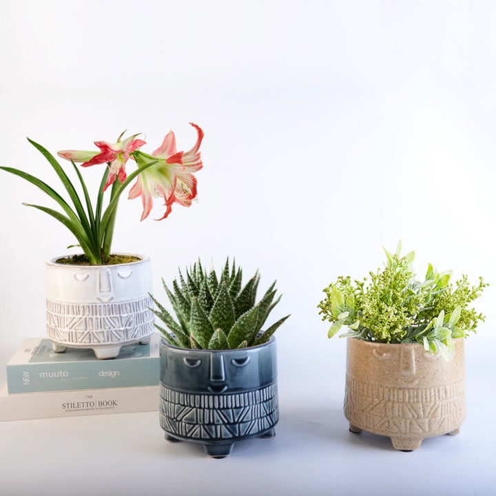 Decorative plant pot with facial features Bowlift