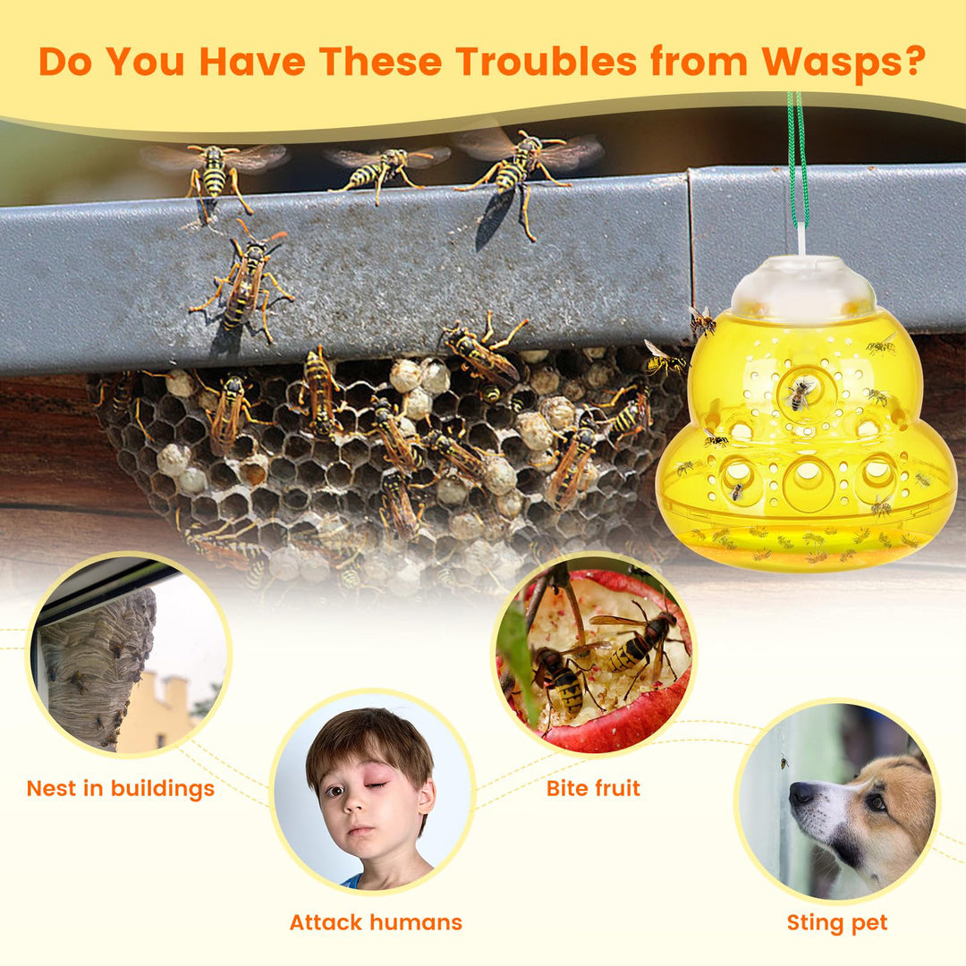 Wasp safety trap Bowlift